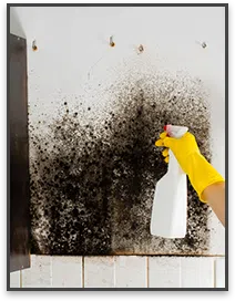 Miami Gardens Restoration Company Miami Gardens, FL 786-347-3363 - sidebar-03