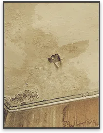 Miami Gardens Restoration Company Miami Gardens, FL 786-347-3363 - sidebar-04